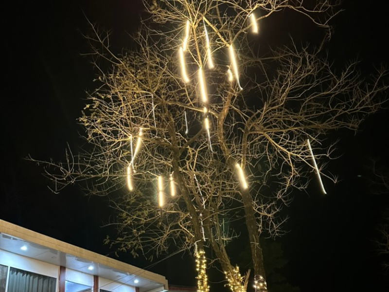 night view of a tree wrapped in warm string lights with glowing hanging rods, beside a lit building