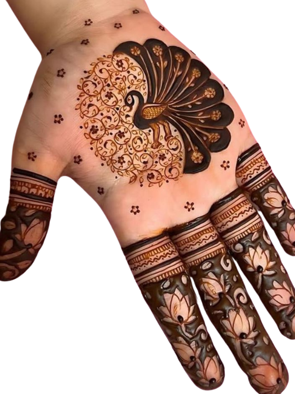 Traditional Indian Mehndi design on both palms showcasing intricate architectural motifs resembling royal palace arches and domes, complemented by detailed peacock patterns on the fingers, with floral and geometric elements throughout.