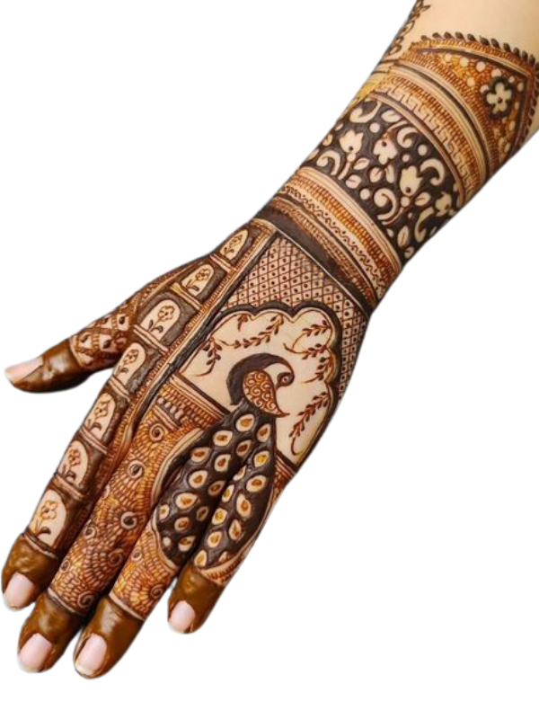 Traditional Indian Mehndi design on both palms showcasing intricate architectural motifs resembling royal palace arches and domes, complemented by detailed peacock patterns on the fingers, with floral and geometric elements throughout.